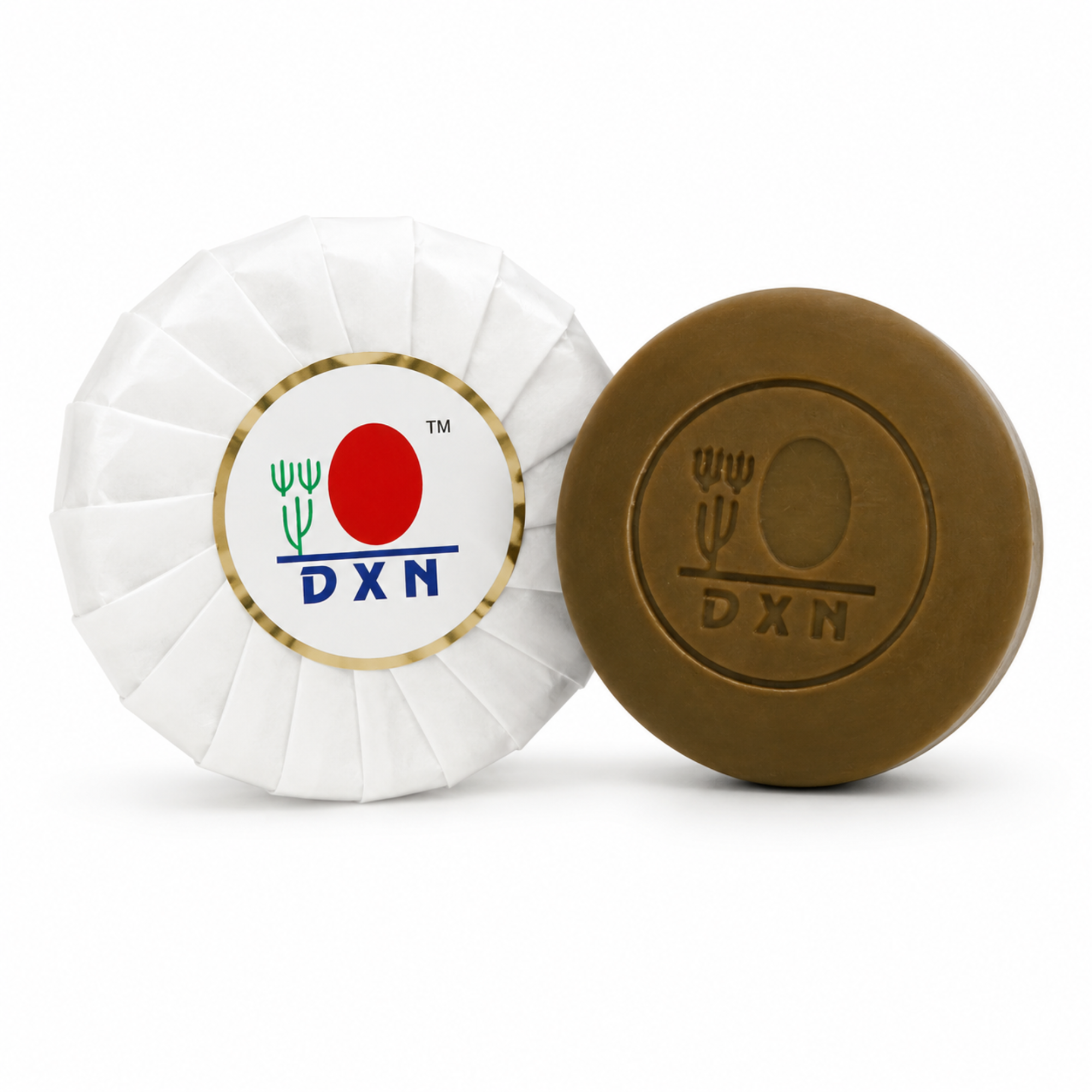 DXN Ganozhi Soap 80g | Ganoderma Acne & Skin Cleansing Soap