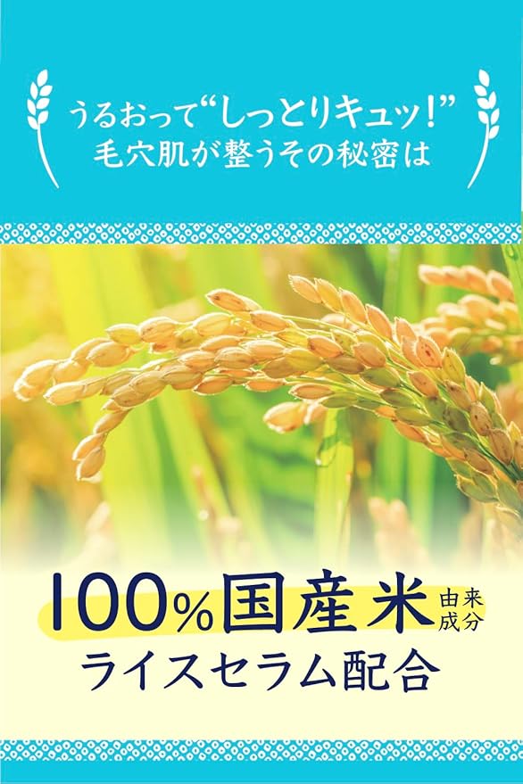 Rice grains with a blue border and text in Japanese on a yellow background